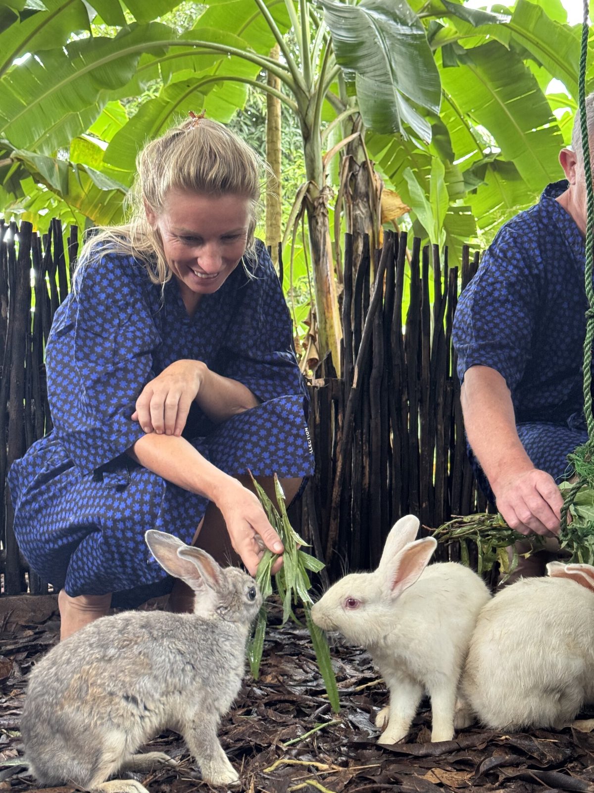 A guest in a gown feeding fresh greens to the rabbits
